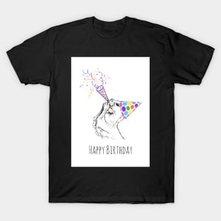 Happy Birthday Otter in Party Hat T-Shirt